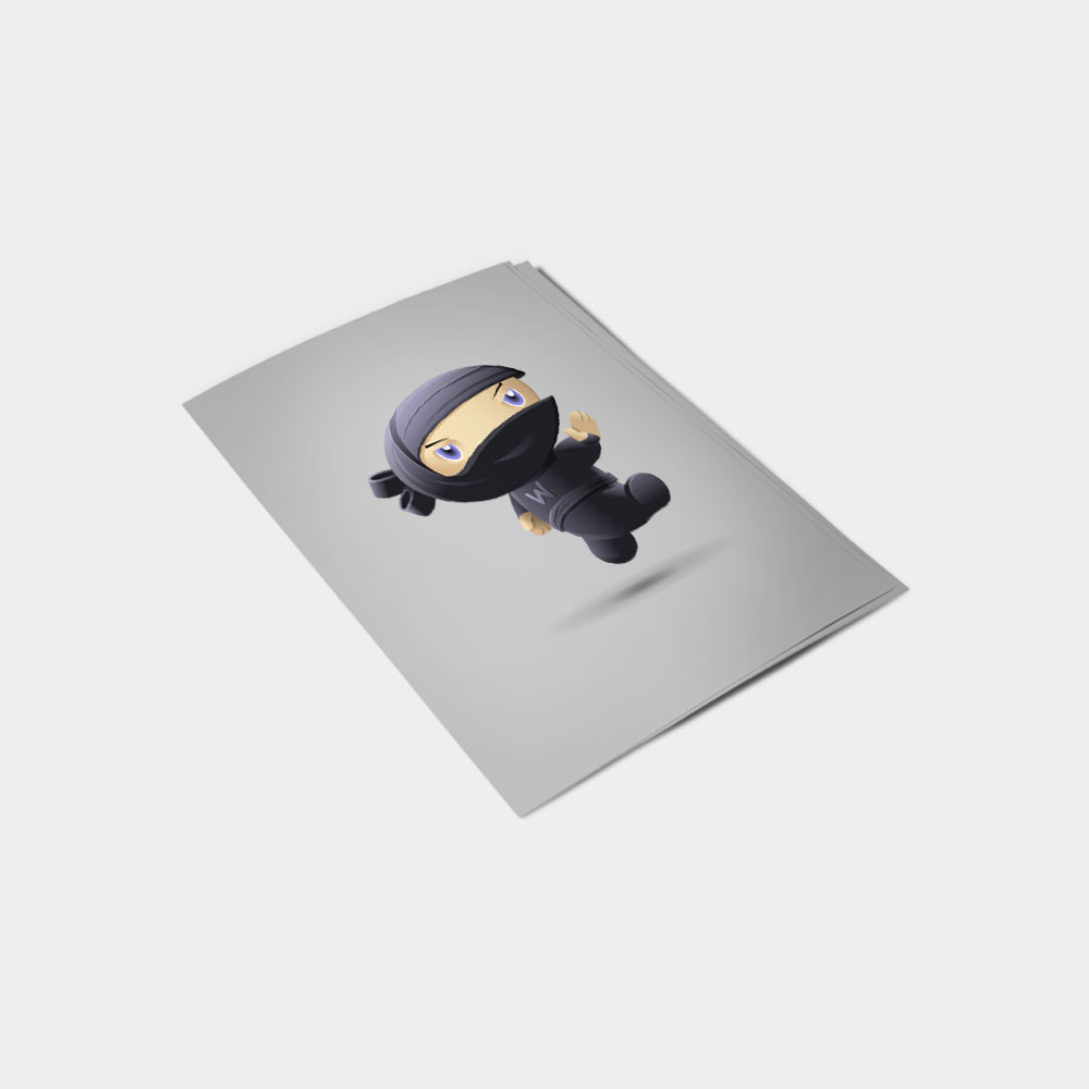 Flying Ninja — изображение 2